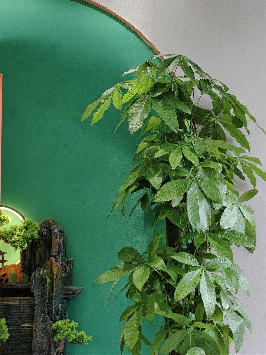 user save tweet media