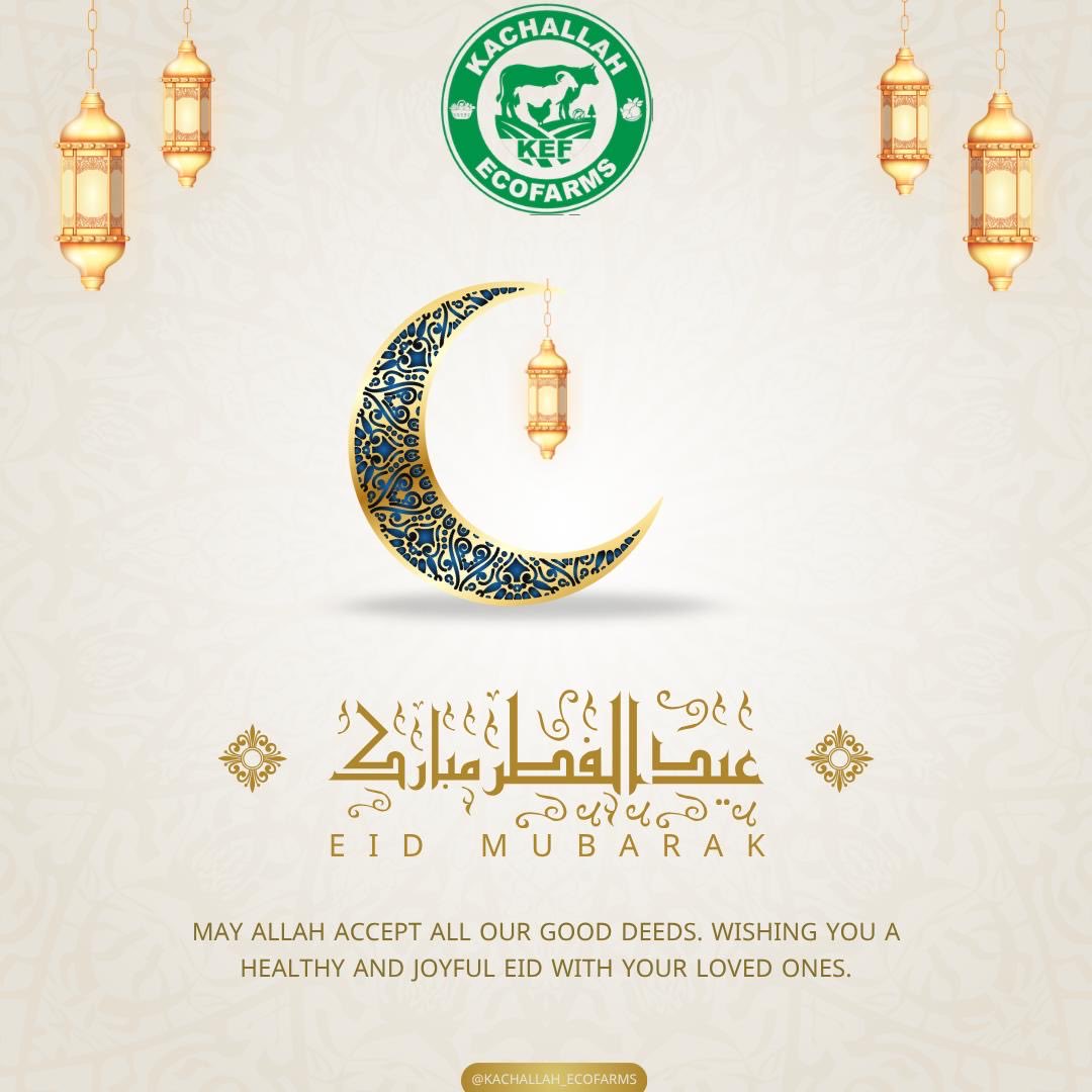 KEcofarms's tweet photo. Eid Mubarak 🌙 with gratitude and wishes from all of us.
#EidMubarak #KachallahEcoFarms #Agriculture #GombeFarms #BlessedSeason https://t.co/R2bPUxKe7O