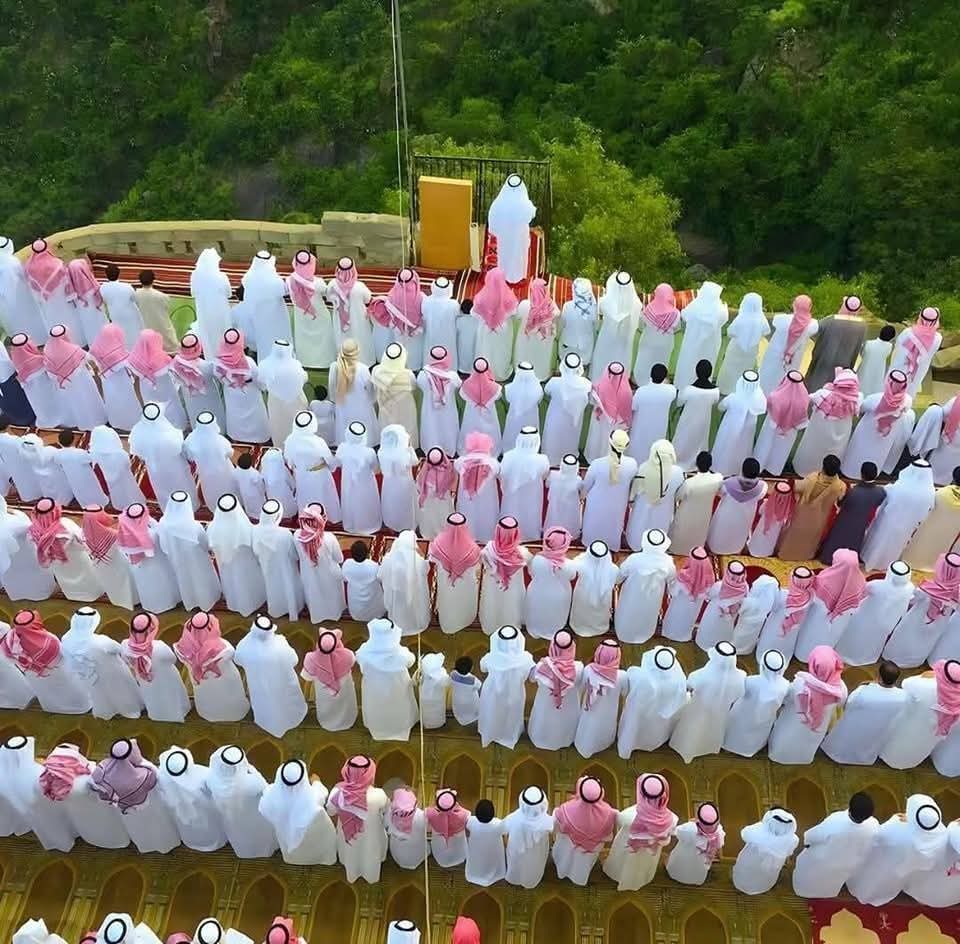 الصقر العربي الجزائري tweet media