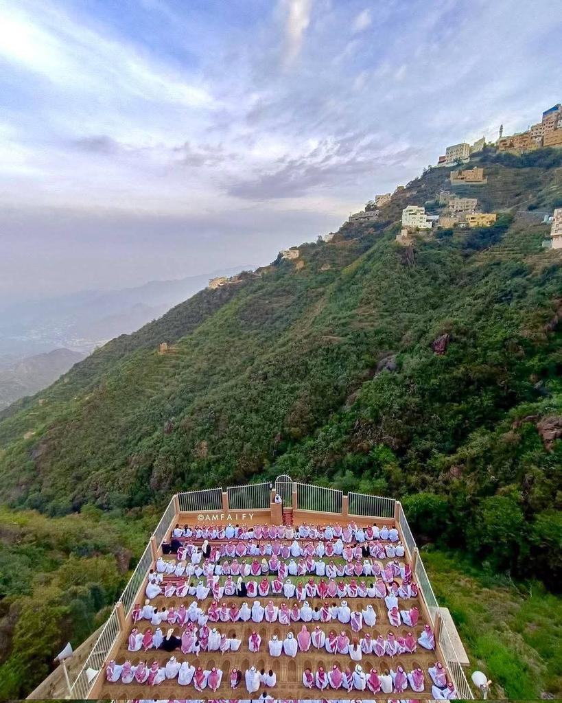 الصقر العربي الجزائري tweet media