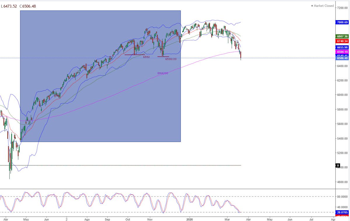 Lince Ibérico tweet media
