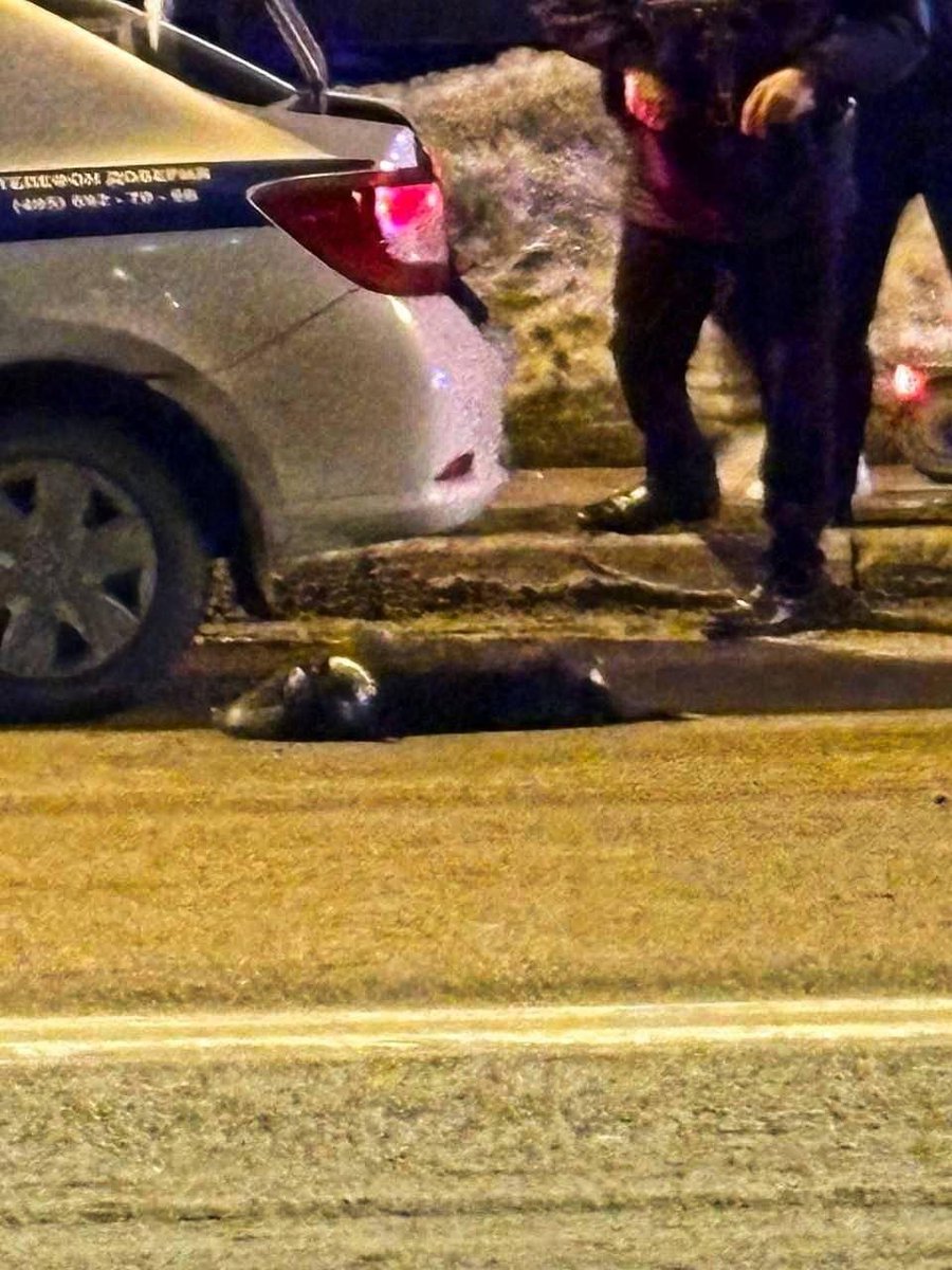 Велоговорун tweet media