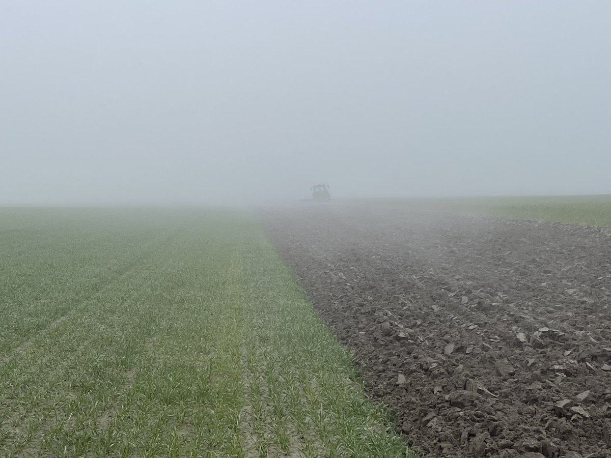 Kor Berghuis tweet media