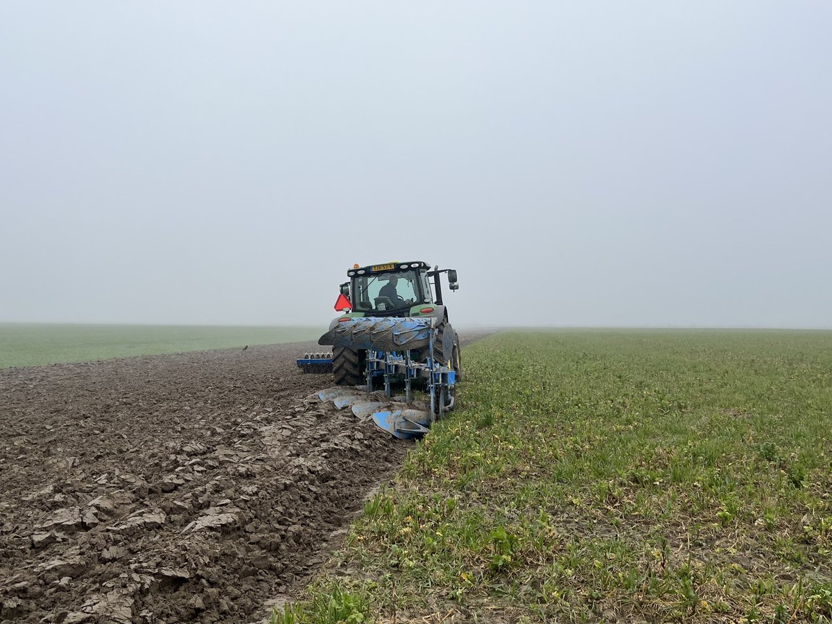 Kor Berghuis tweet media