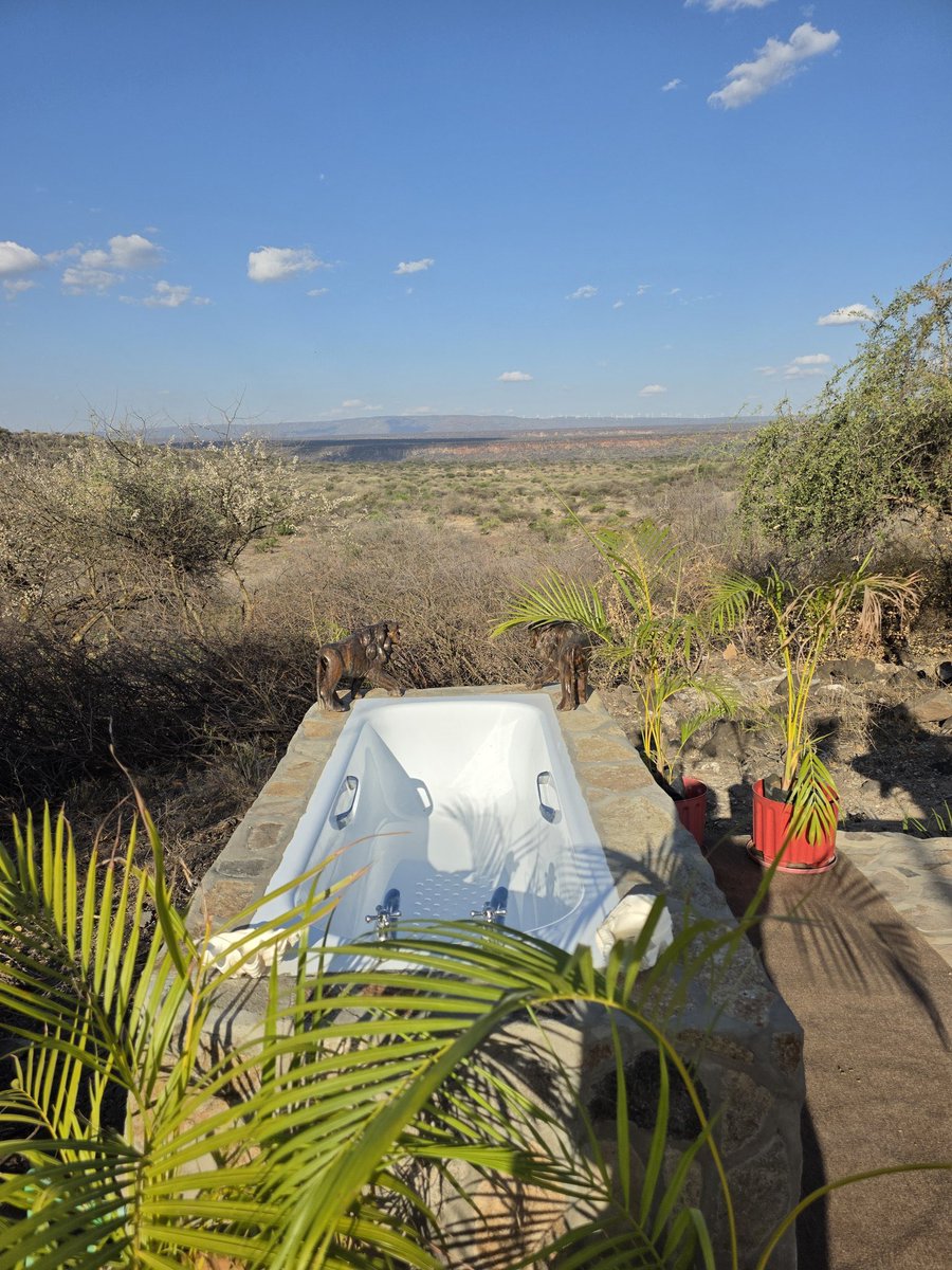 Stejos_Tours's tweet photo. Saturday vibes = time to escape

Why stay in when Kajiado’s rolling hills, sunsets, fresh air, and sparkling night skies are calling? 

Book your weekend getaway now and make memories your friends will envy. 

#WeekendVibes #KajiadoEscape #Stargazing https://t.co/zPNkgyyLuU