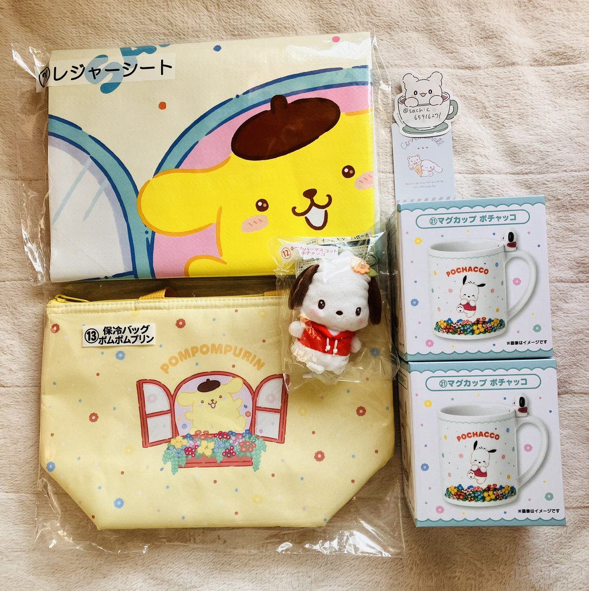 sachiLYs💙 tweet media