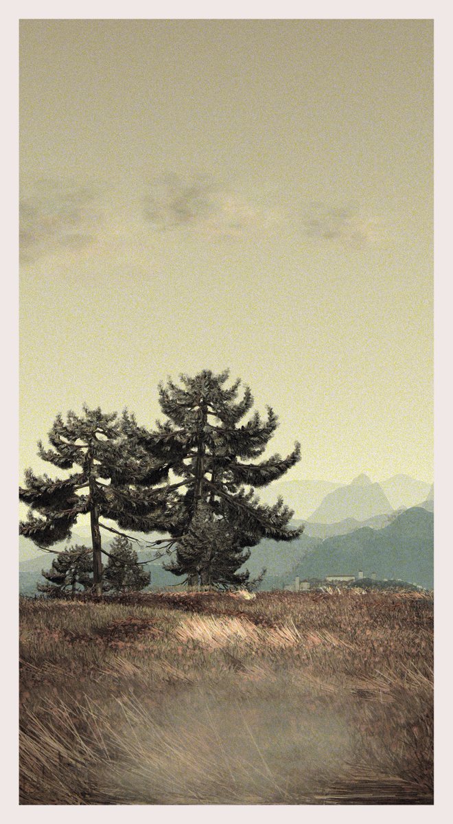 Qotonana tweet media