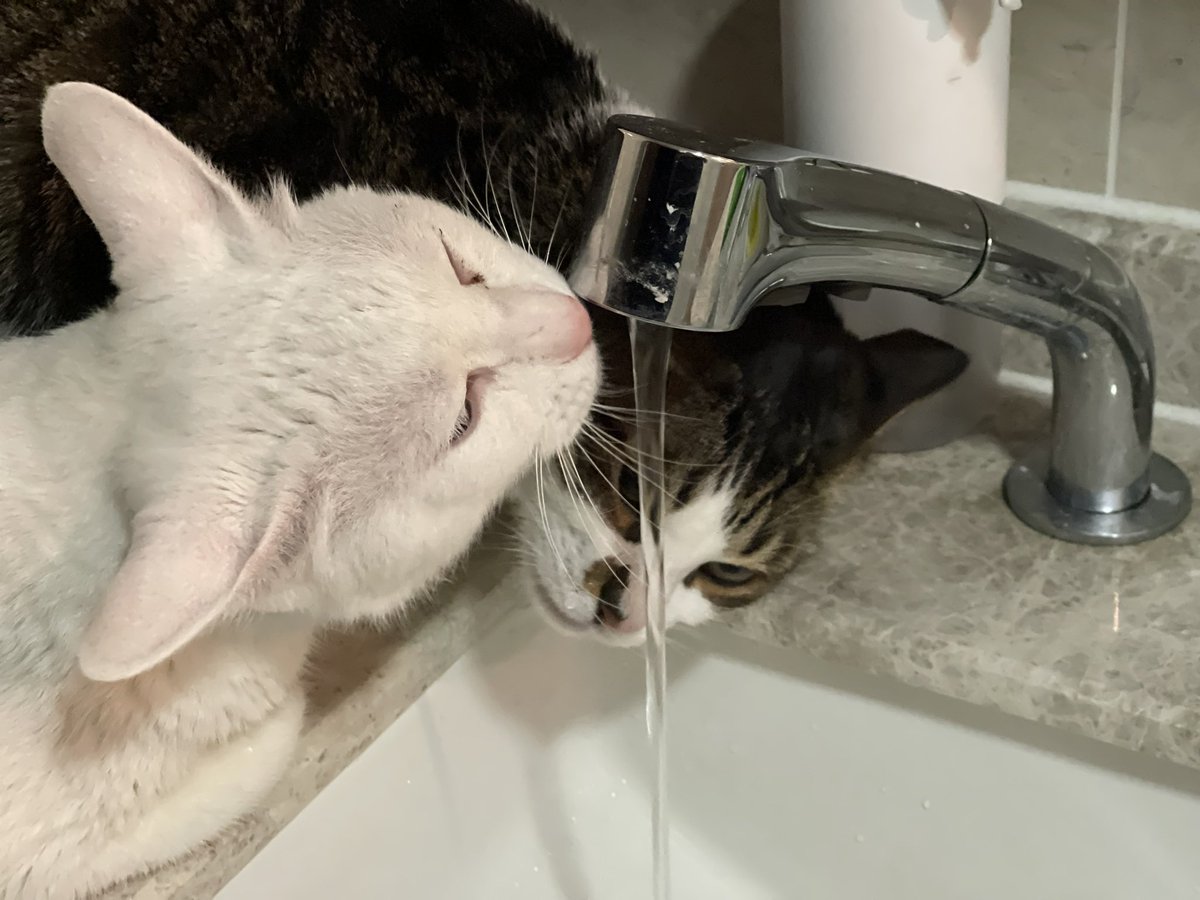 Paul ‘DaddyBird’ Castle tweet media