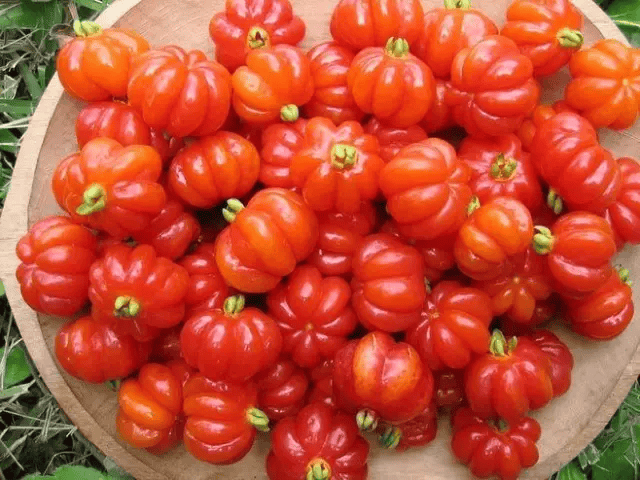 Penney Lawrence tweet media