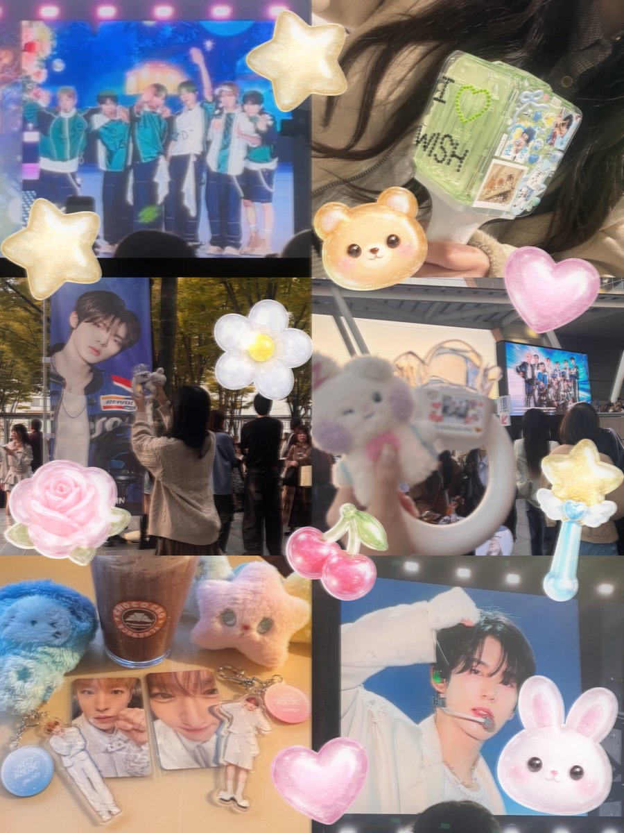 くまにゃん🧸 tweet media