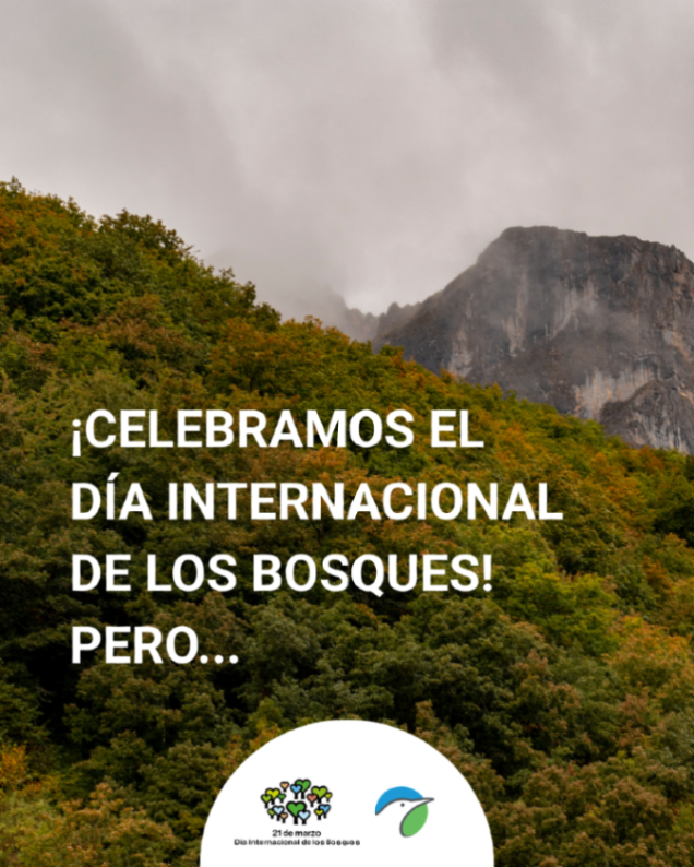 SEO/BirdLife tweet media