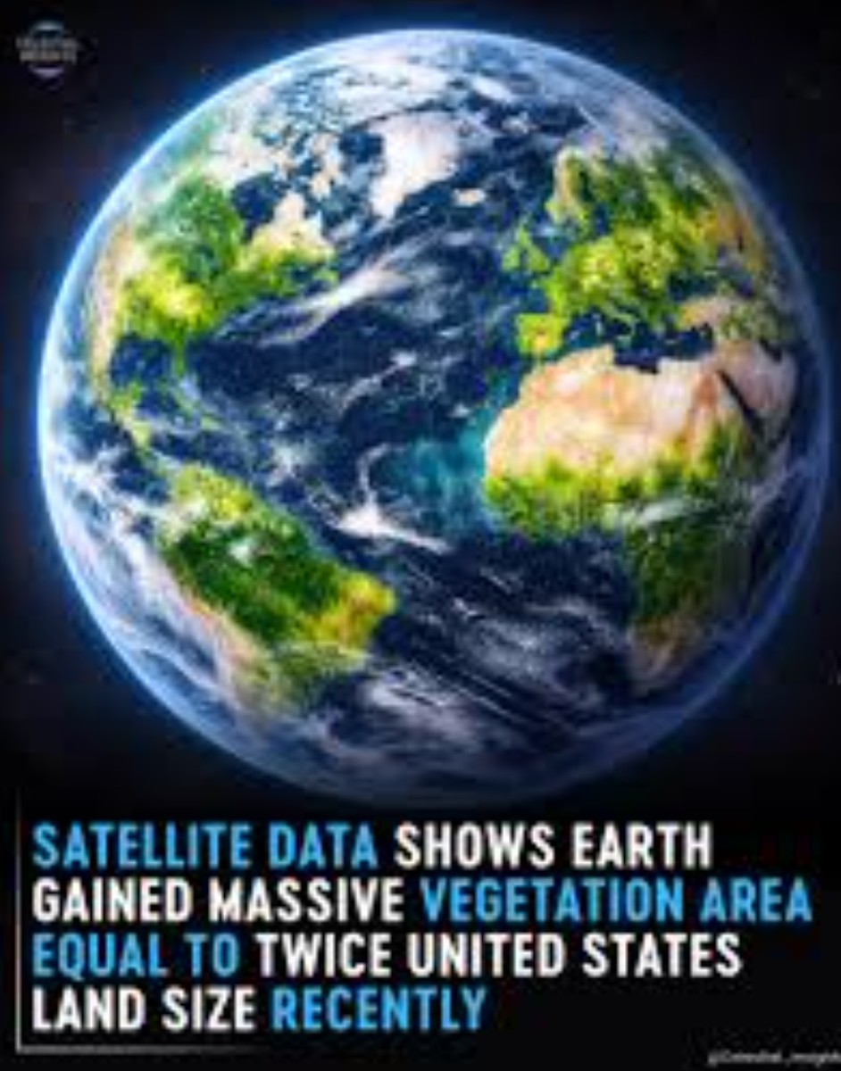 Peter Clack tweet media