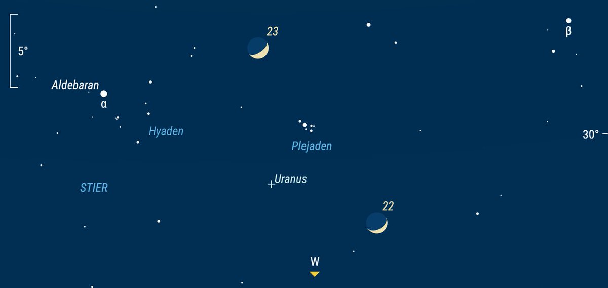 Zenitonline tweet media