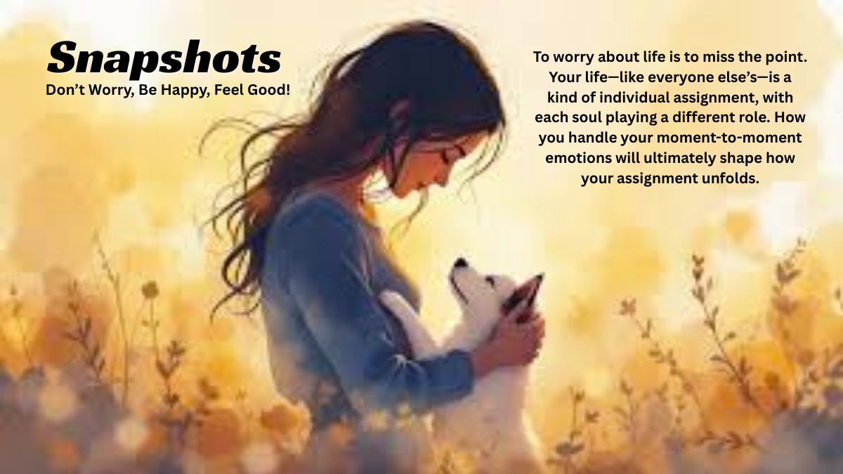 Snapshots tweet media