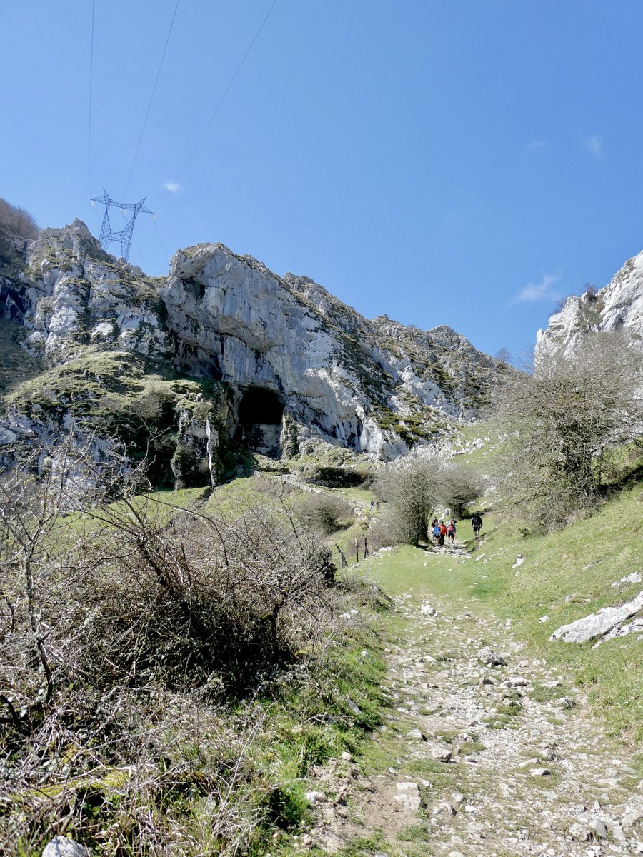 Jose Angel Urquia tweet media