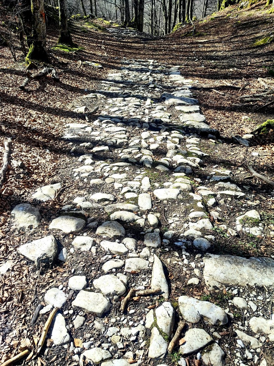 Jose Angel Urquia tweet media