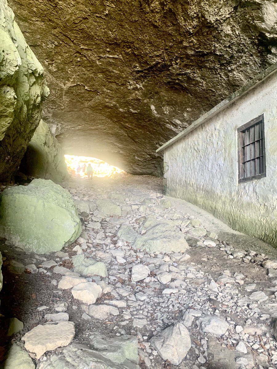 Jose Angel Urquia tweet media