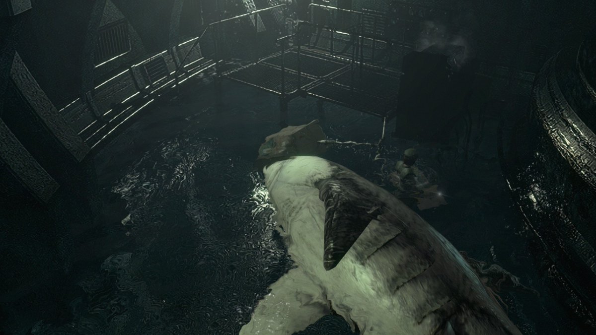 Tim says blm, get vaccinated, wear a mask 🇺🇦🍉 tweet media