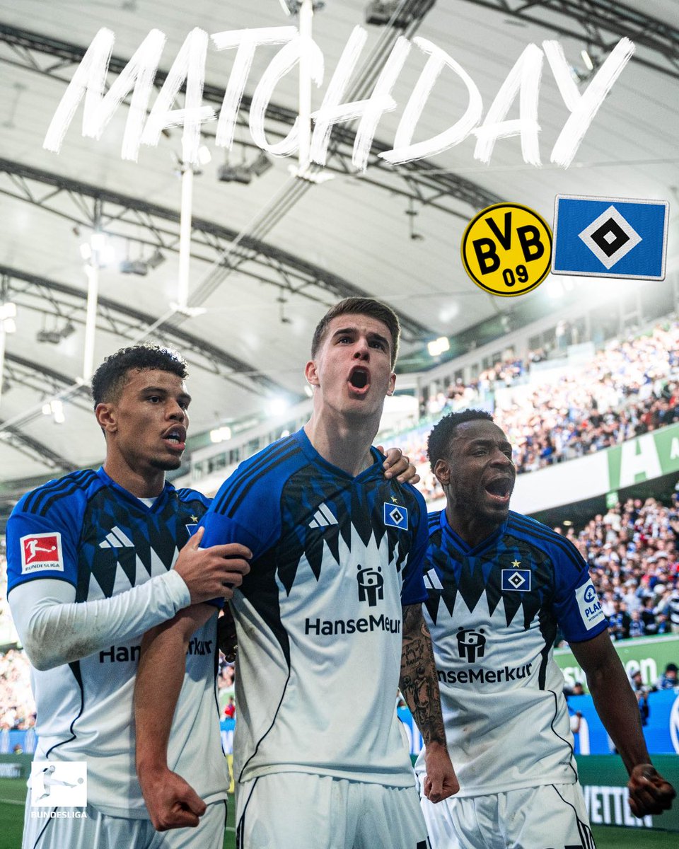 Hamburger SV tweet media