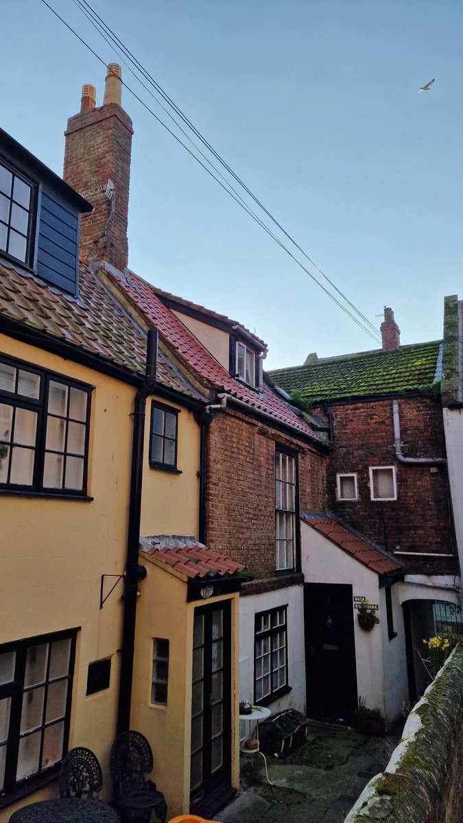 WHITBY WANDERER tweet media