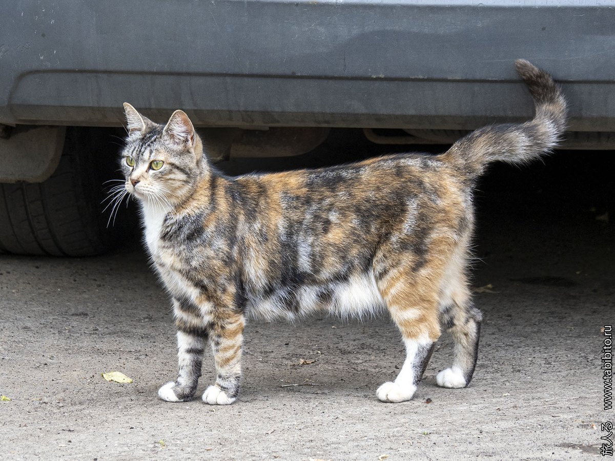 Sybarytyzm i Językoznawstwo tweet media