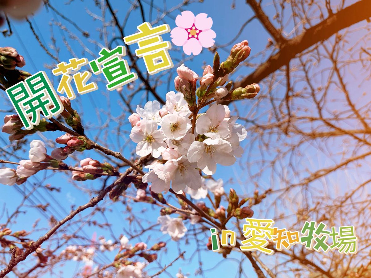 愛知牧場【公式】 tweet media