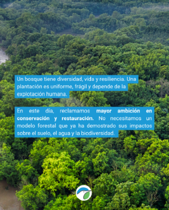 SEO/BirdLife tweet media