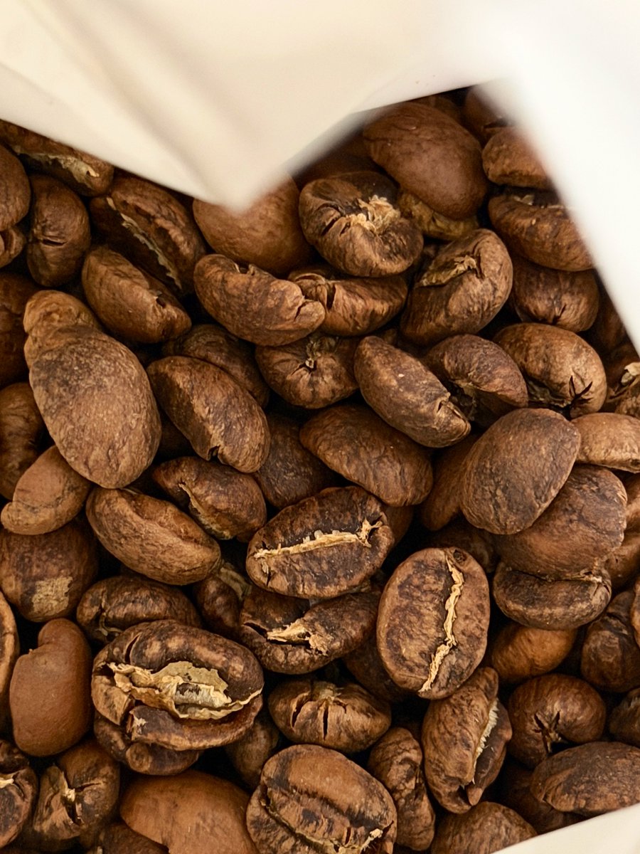 سرمد tweet media