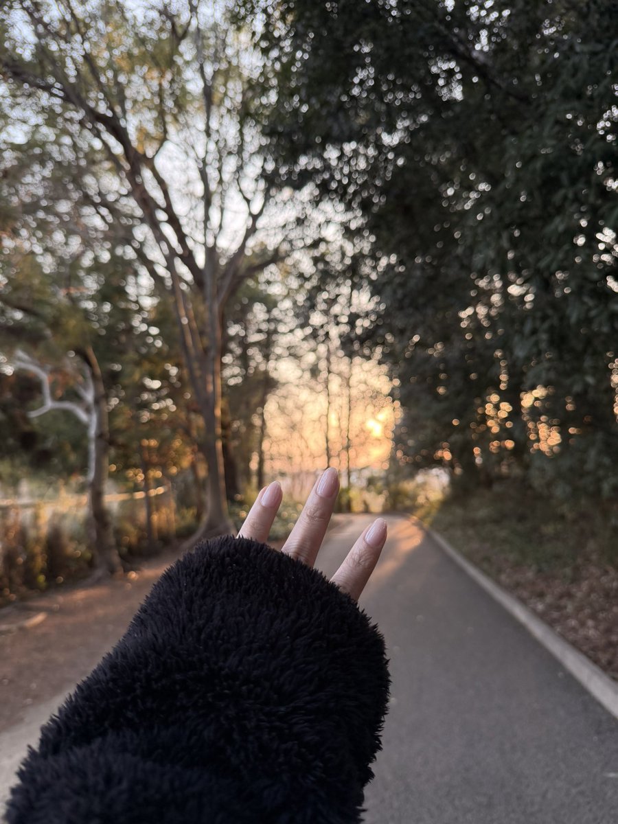 Avie Fukai 🇵🇭🇯🇵 tweet media