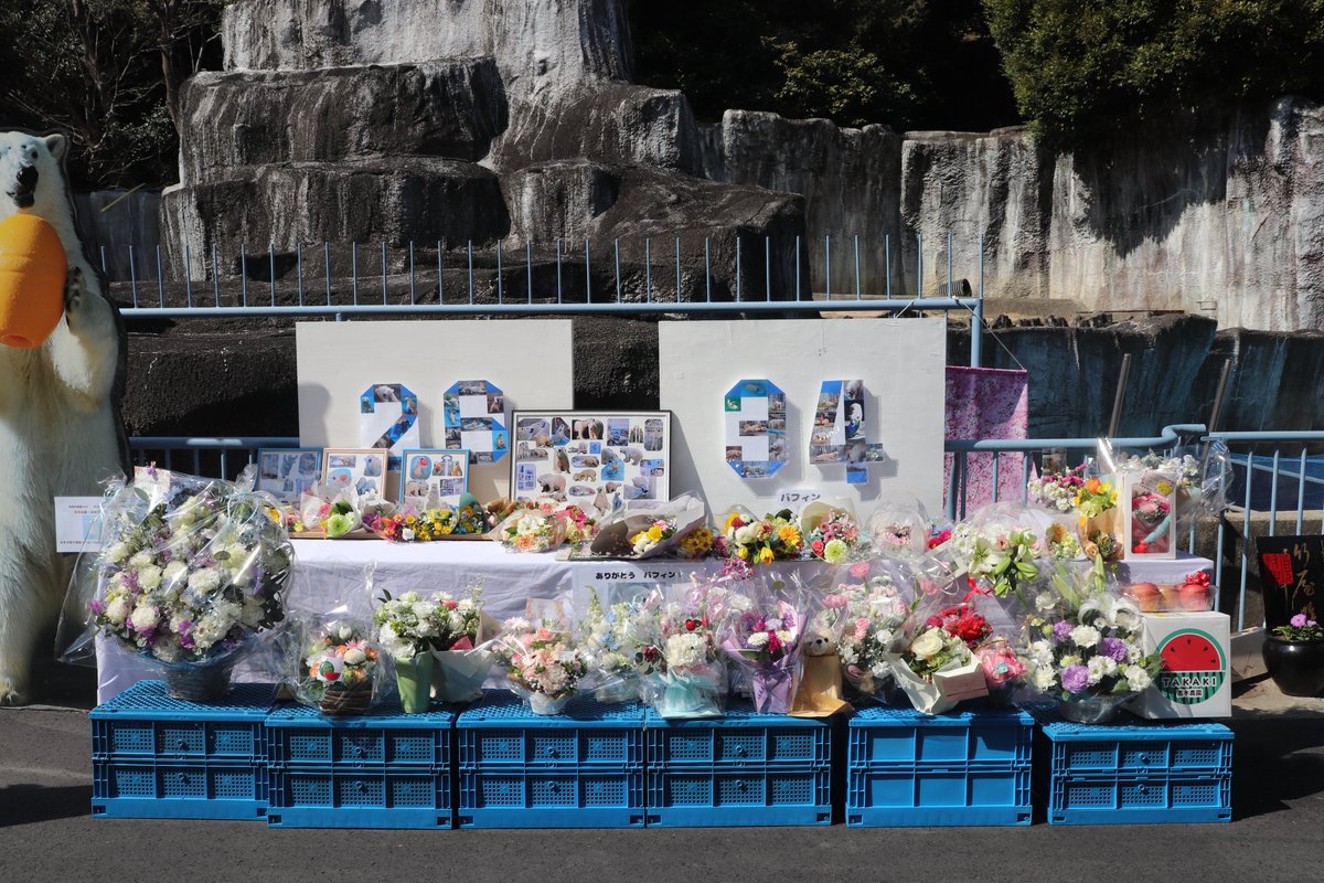 浜松市動物園【公式】 tweet media