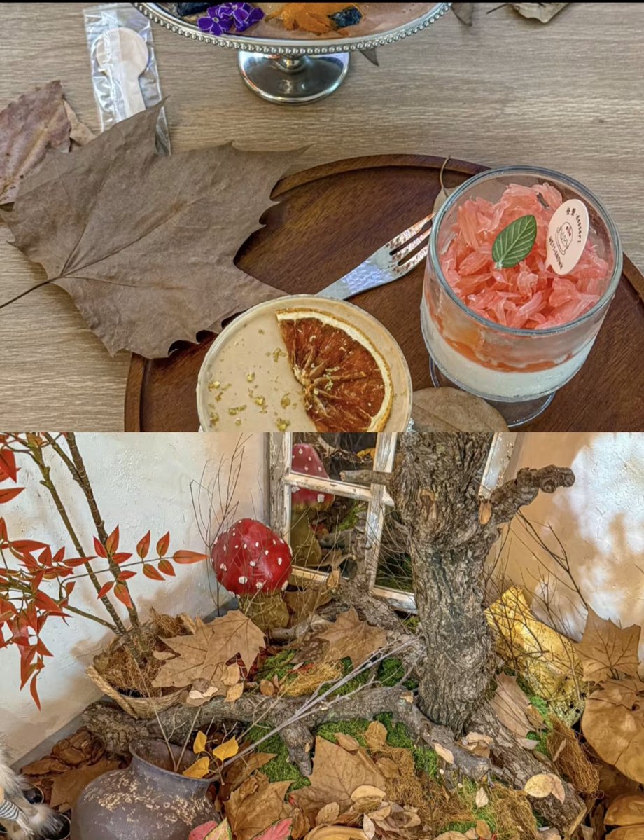 Vatsala Jha tweet media