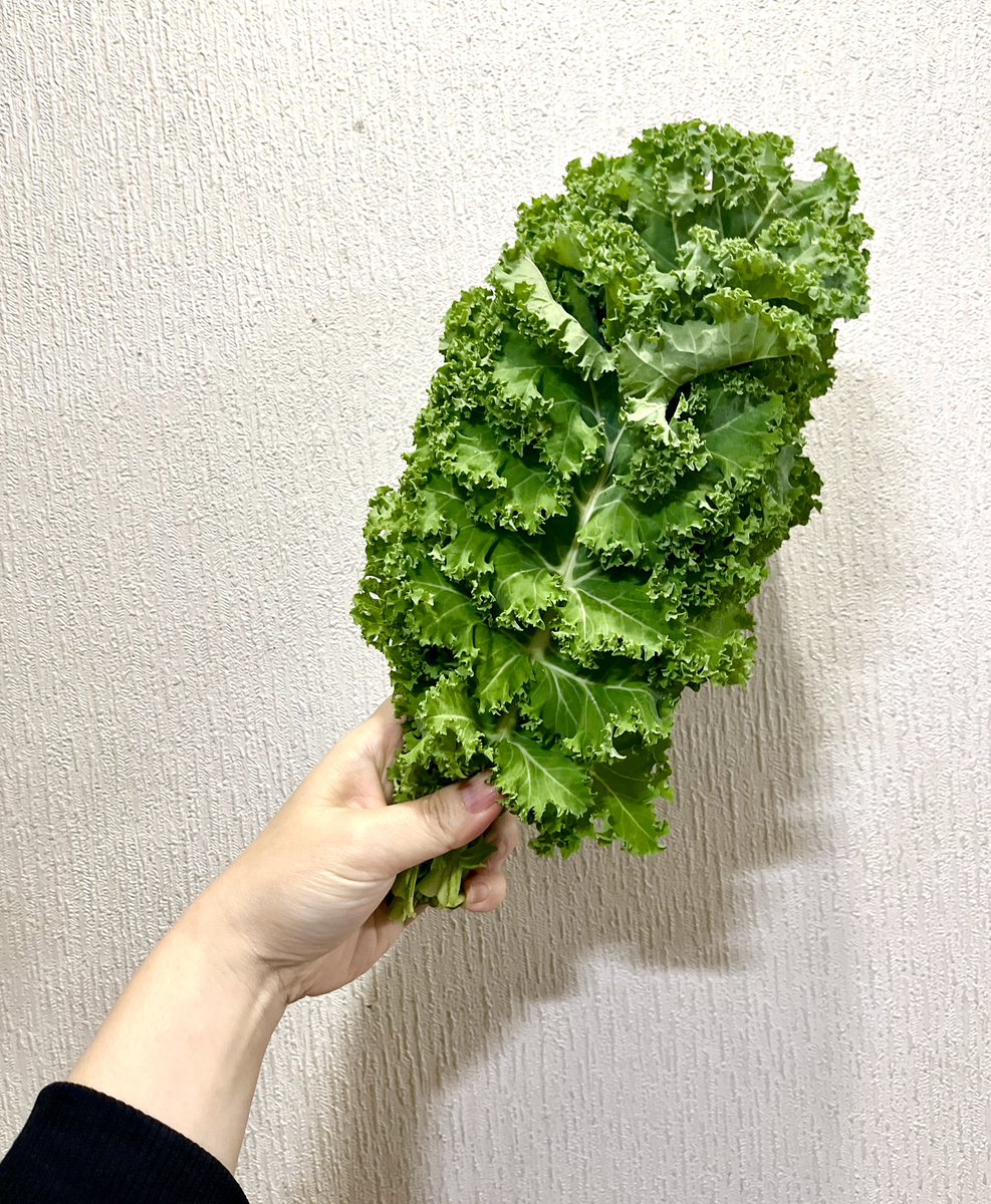 MIIKO🍥🐙 み〜こ tweet media