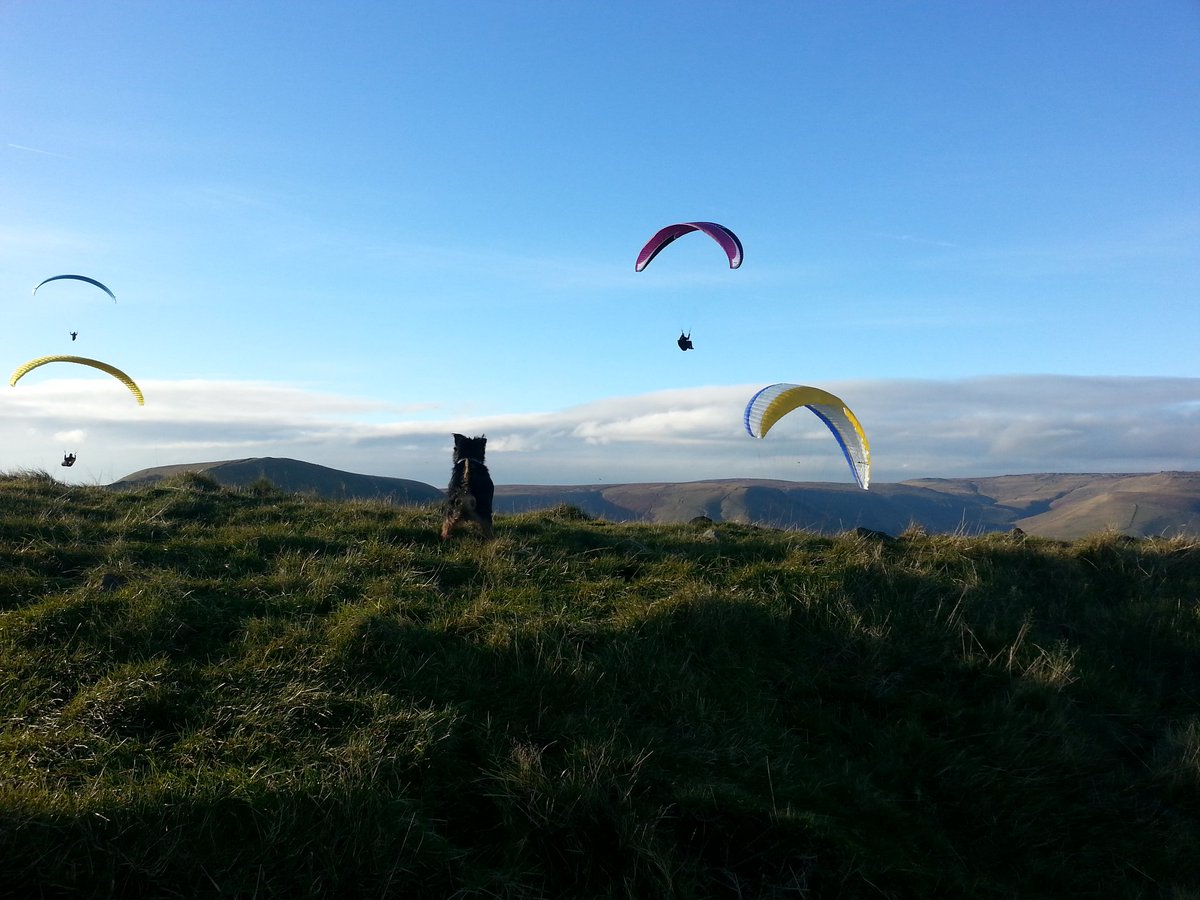 Bo-Boes the mini Bear Cub 🌈🐾💛💖🧡🥀💙 tweet media