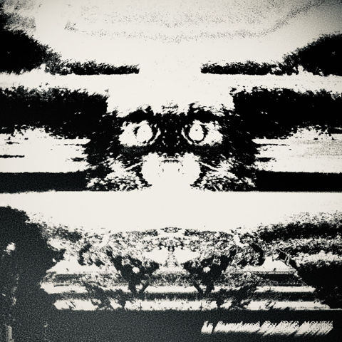 REVENGE RECORDS tweet media