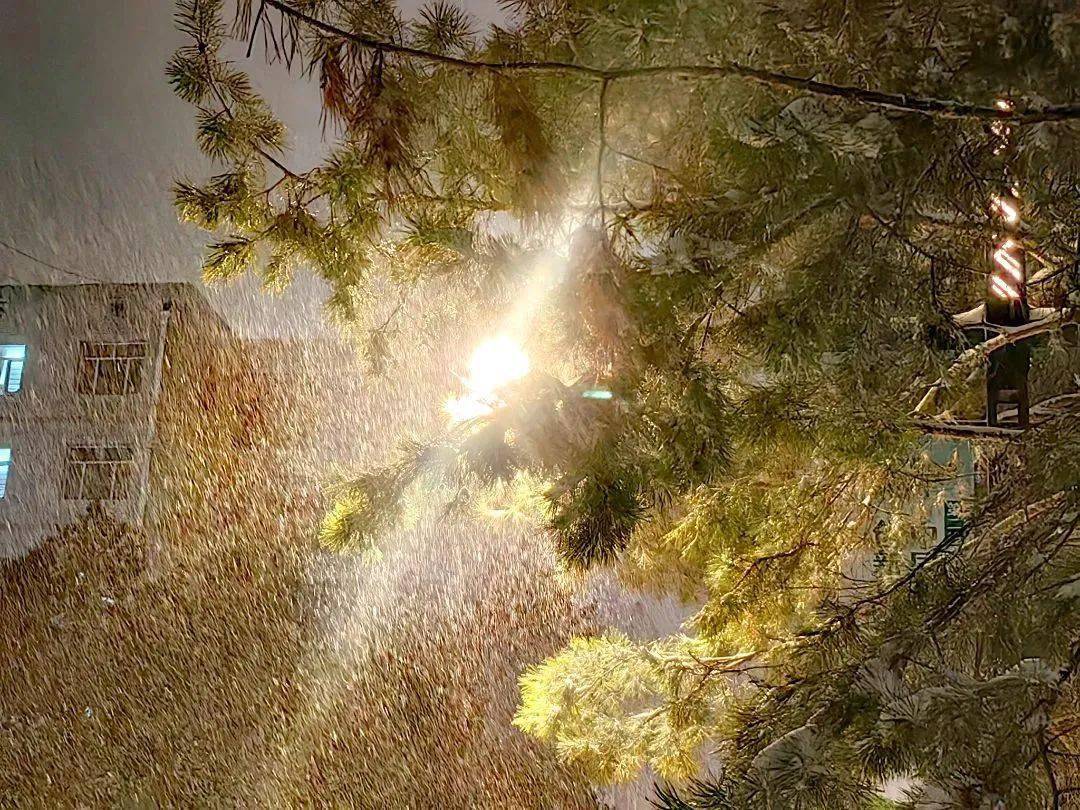 irina khvorostiyk tweet media