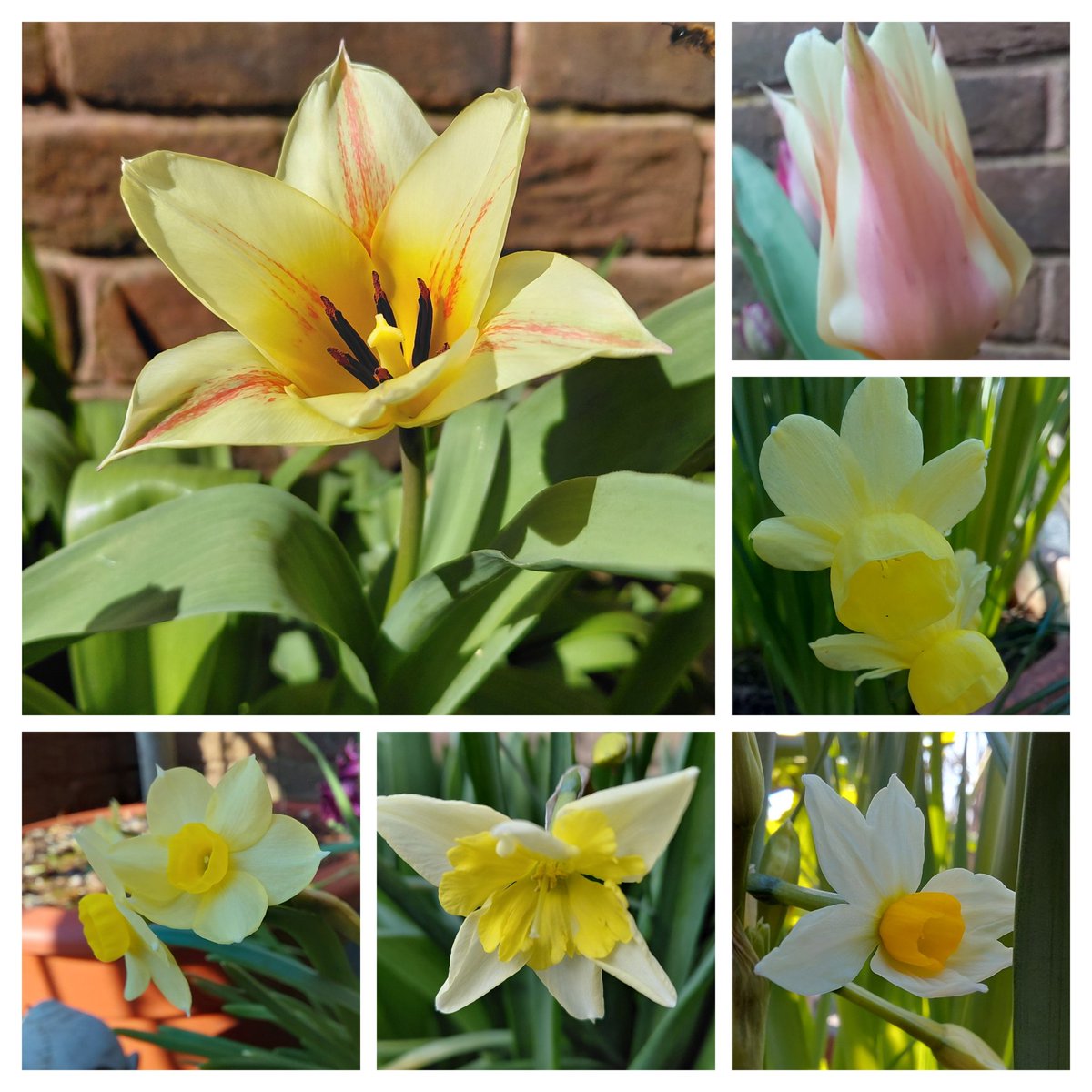 🌱WellyWonder tweet media