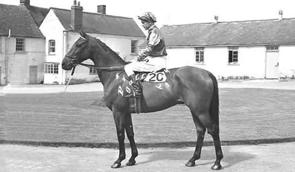 Mike Wass tweet media