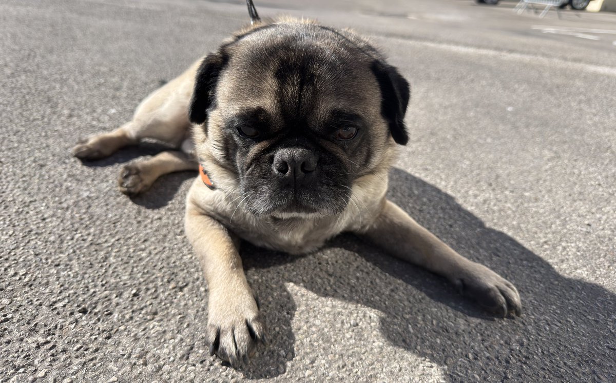 Oxymore— 🐙 tweet media