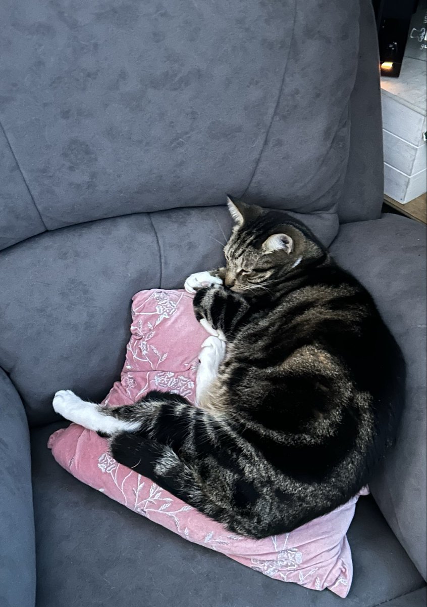 TenkoKami 🦊🌥️| Sleepy Kitsune Goddess tweet media