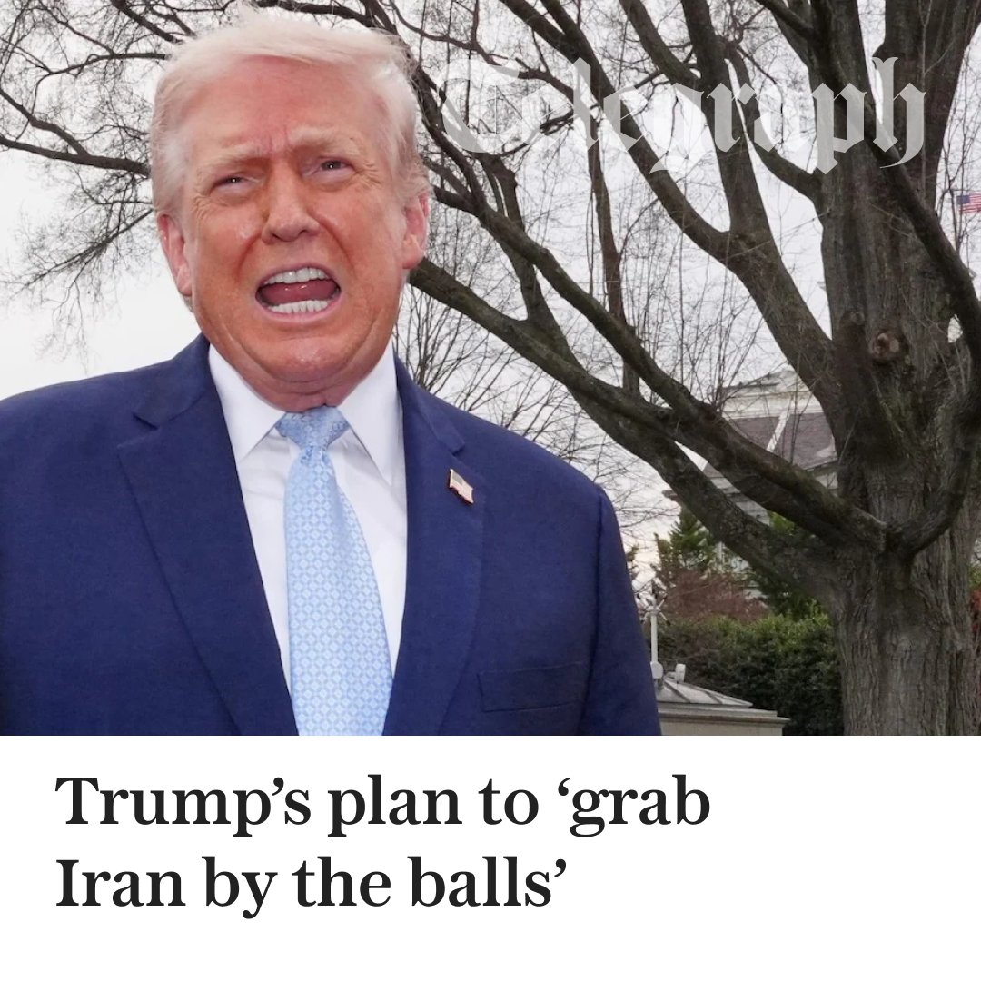 The Telegraph tweet media