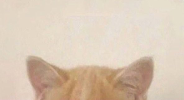 만듀.. tweet media