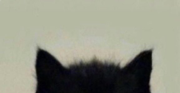 만듀.. tweet media