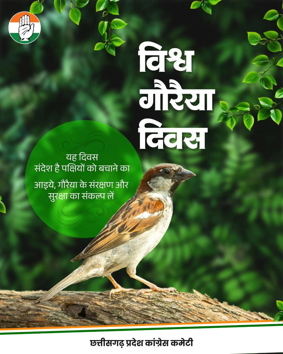 bhardwaj2509's tweet photo. “विश्व गौरैया दिवस” पर आइए, गौरैया के संरक्षण और संवर्धन का संकल्प लें।

अपने आसपास उनके लिए सुरक्षित वातावरण, दाना और पानी की व्यवस्था सुनिश्चित करें।

#WorldSparrowDay https://t.co/oXna3efHuk