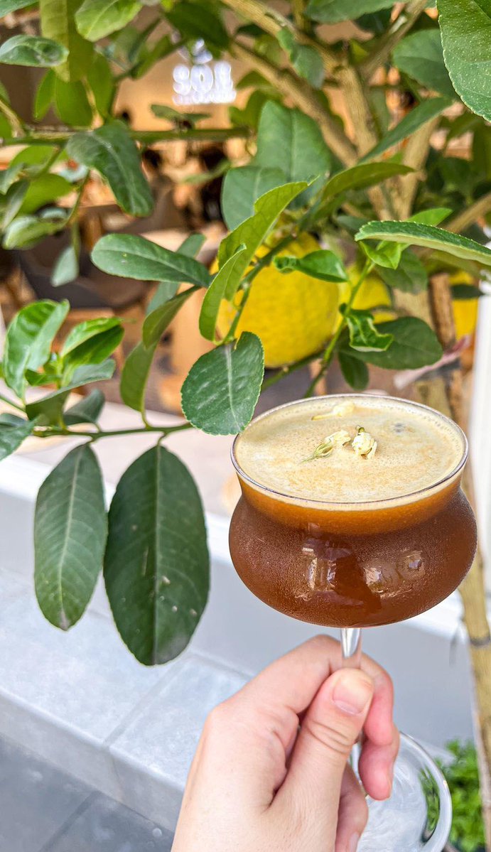 anissa zmirli tweet media