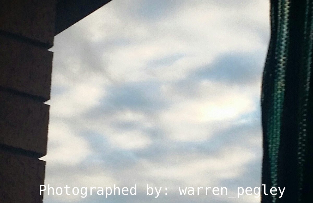 Warren Pegley tweet media