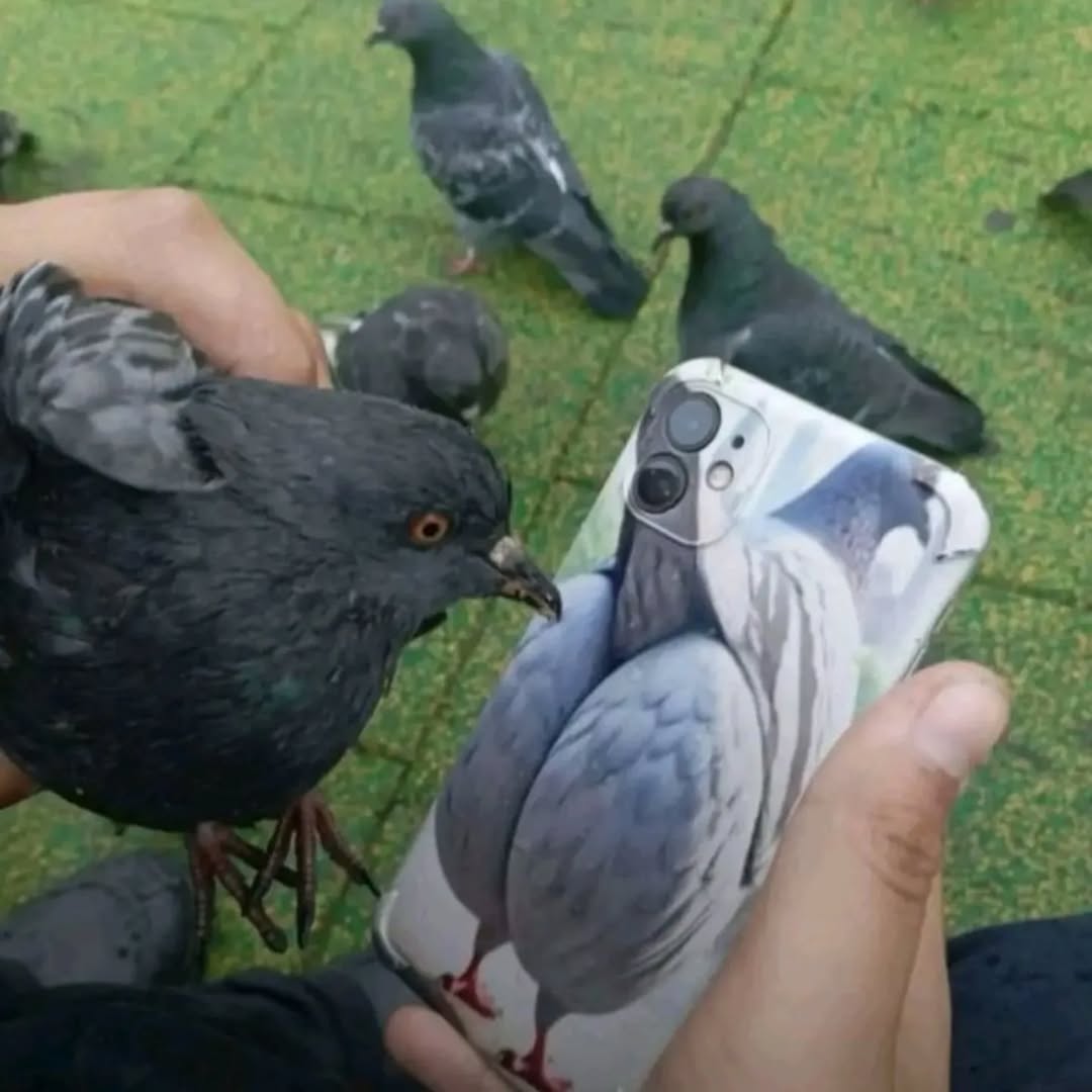 Your Typical Local Man tweet media