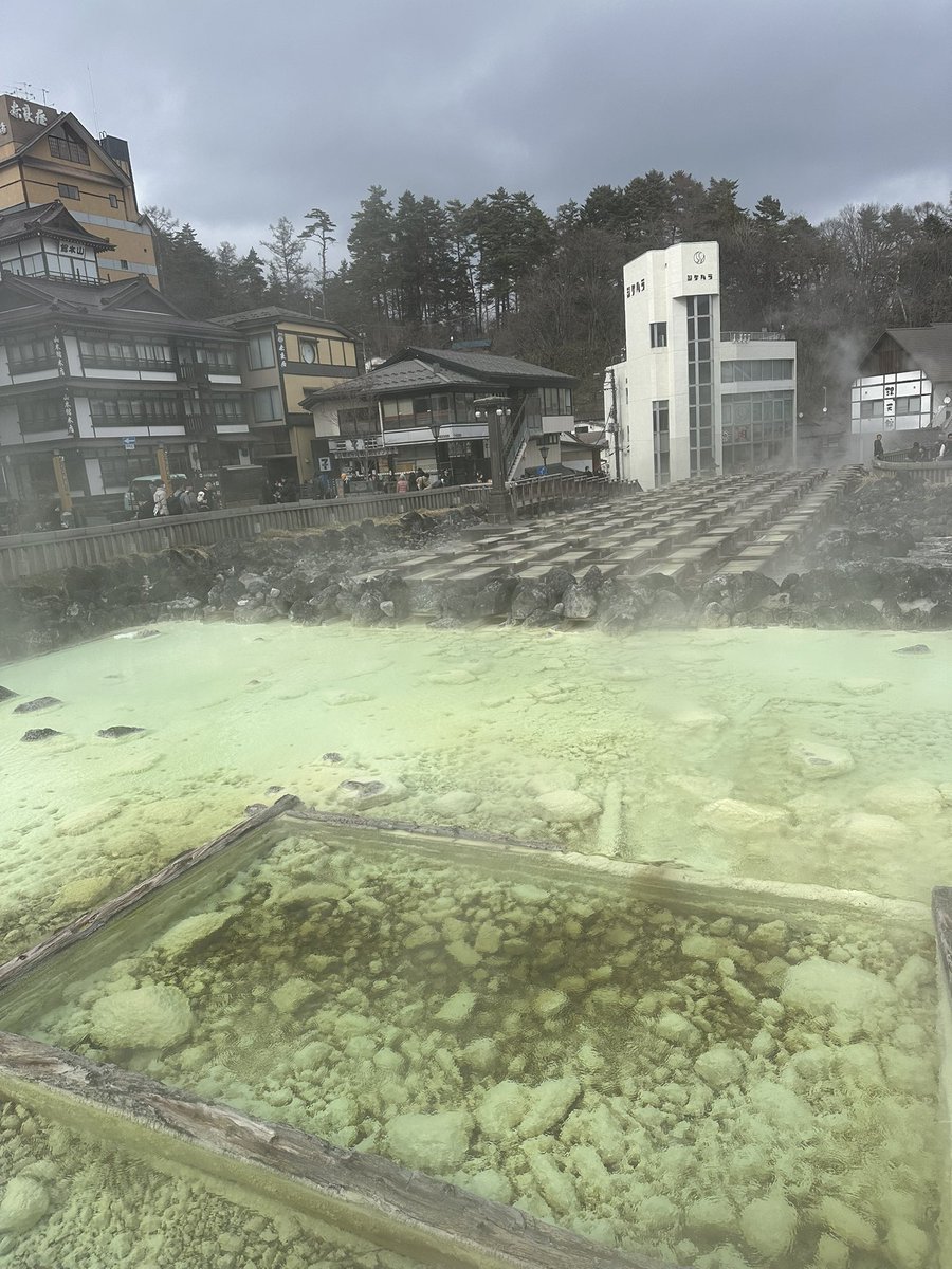 ハナチャン tweet media