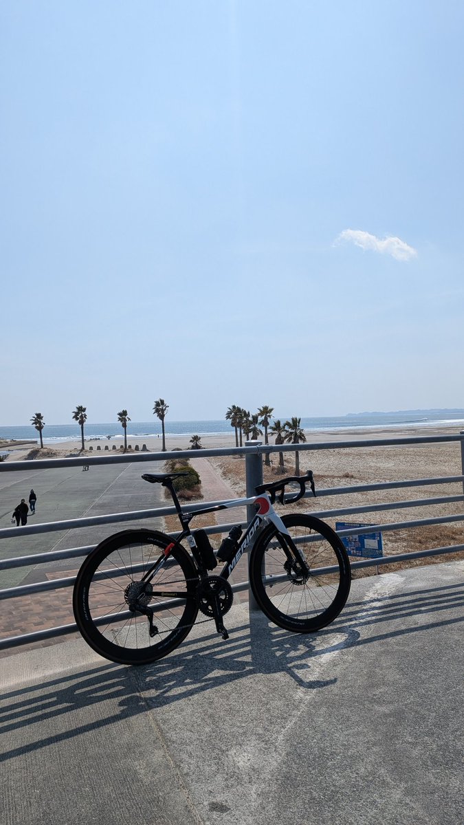 ホンダ tweet media