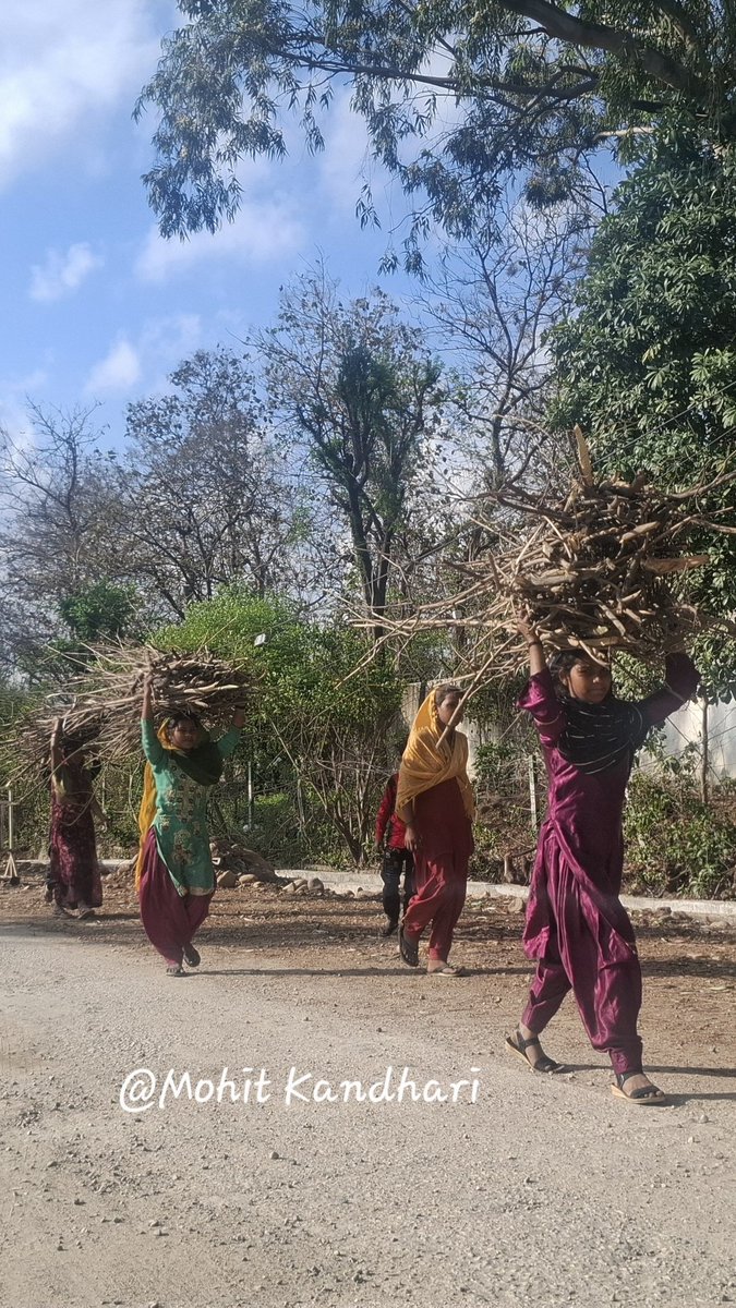 A group of women ferrying firewood in #Jammu to keep the home fires burning.