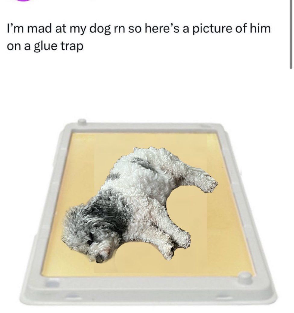 𝓥𝓮𝓻𝓸𝓷𝓲𝓬𝓪 tweet media